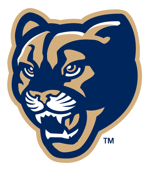 Brigham Young Cougars 1999-2004 Alternate Logo v4 iron on transfers for T-shirts